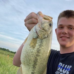 Meet your Posher, Lance